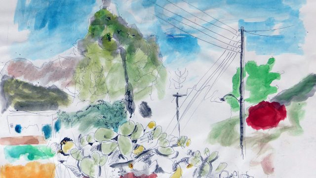Kakteen, Syros, Griechenland, 2014, Aquarell/Tuschstift, ca. 35 x 50 cm