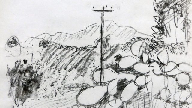 Kakteen, Syros, 2014, Kohle, ca. 35 x 50 cm
