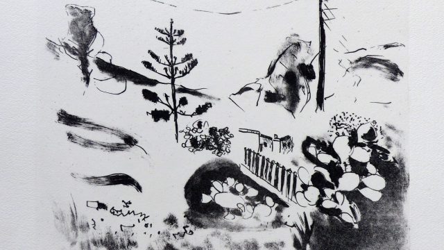 Kakteen 3/5, 2015, Lithografie schwarz-weiß, 39 x 53 cm Blatt