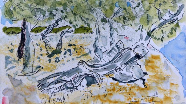 Wurzeln und Bäume, Syros, 2012, Tuschstift/Aquarell, Postkarte